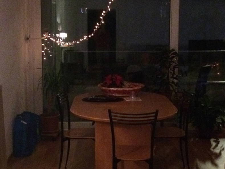 Colocation Vevey 245383-4