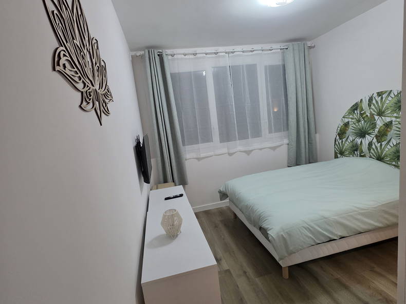 Colocation Annemasse 653228-2