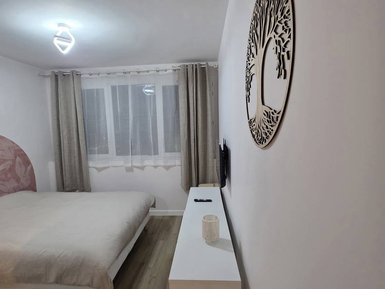 Kolokasie Annemasse 653240-2