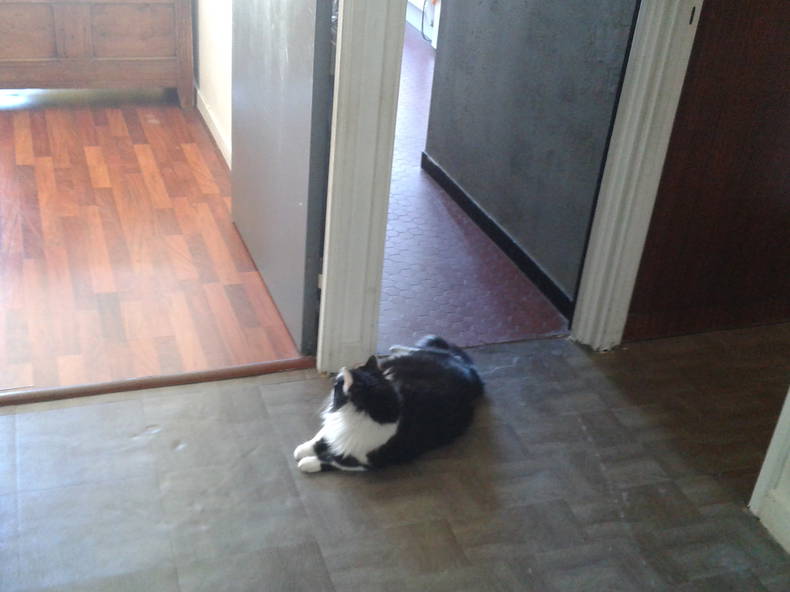 Colocation Paris 133574-5