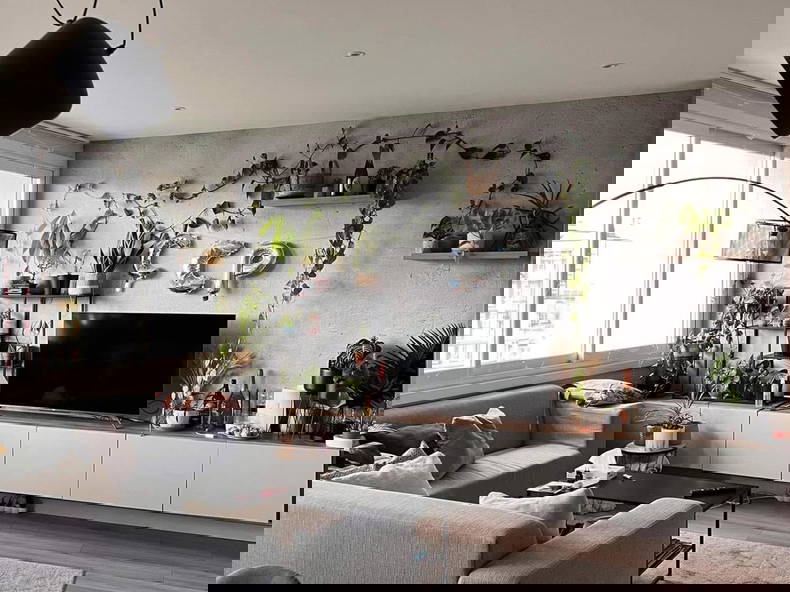 Kolokation Lyon 540852-4