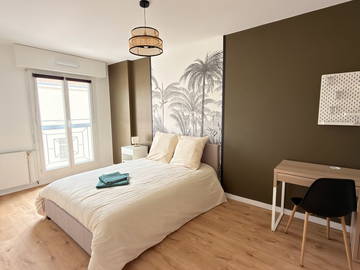 Piso compartido en renta en Nancy - foto 8 : Habitación-8