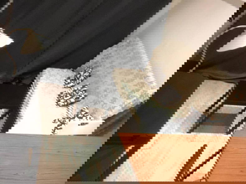 Kolokation Saint-Étienne 263284-3