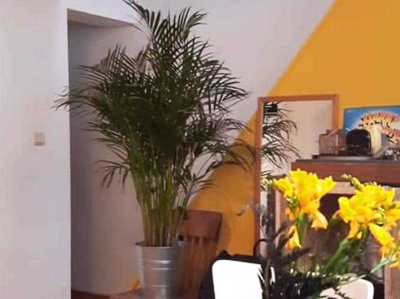 Colocation Luik 234514-3