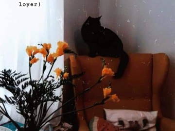 Colocation Luik 234514-4