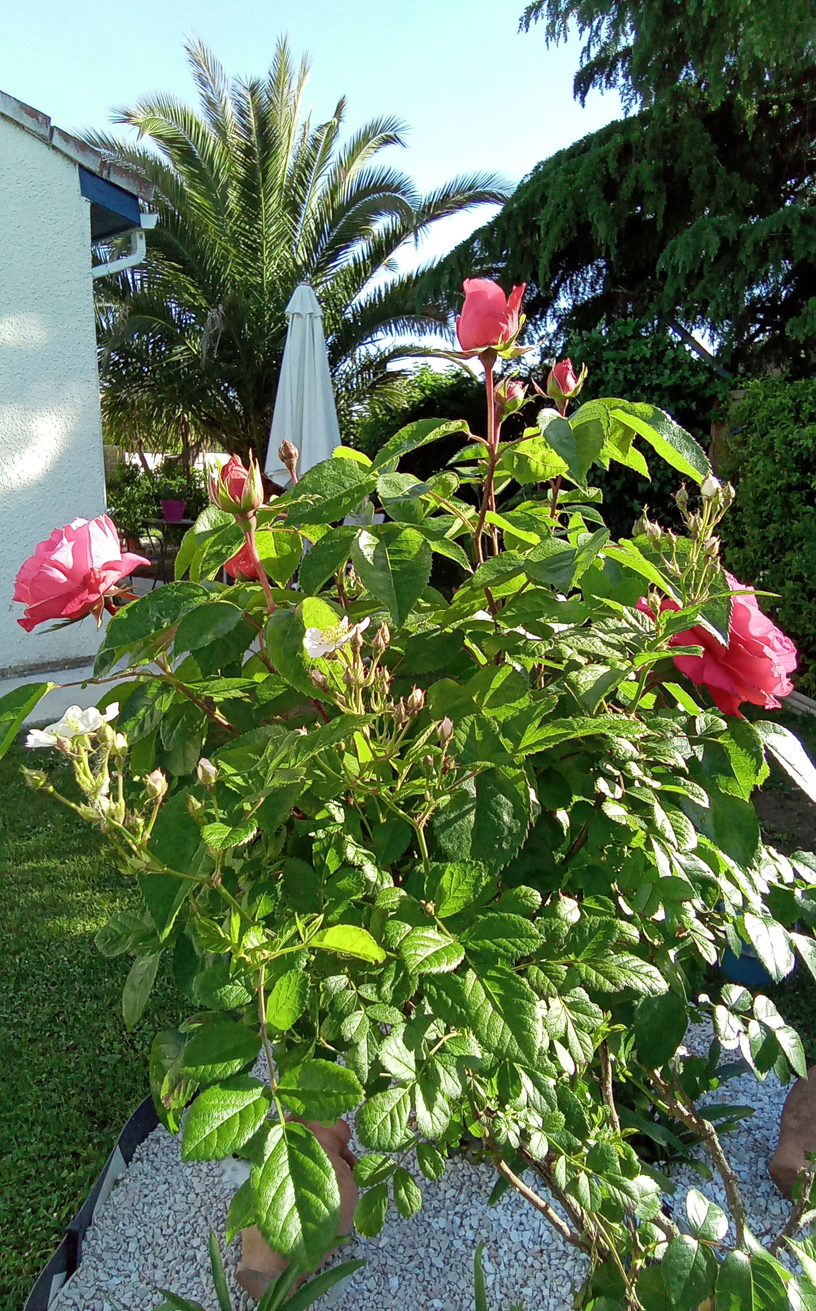 Quedarse En Casa Beauzelle 255867