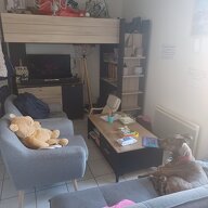 Colocación Amiens 265091