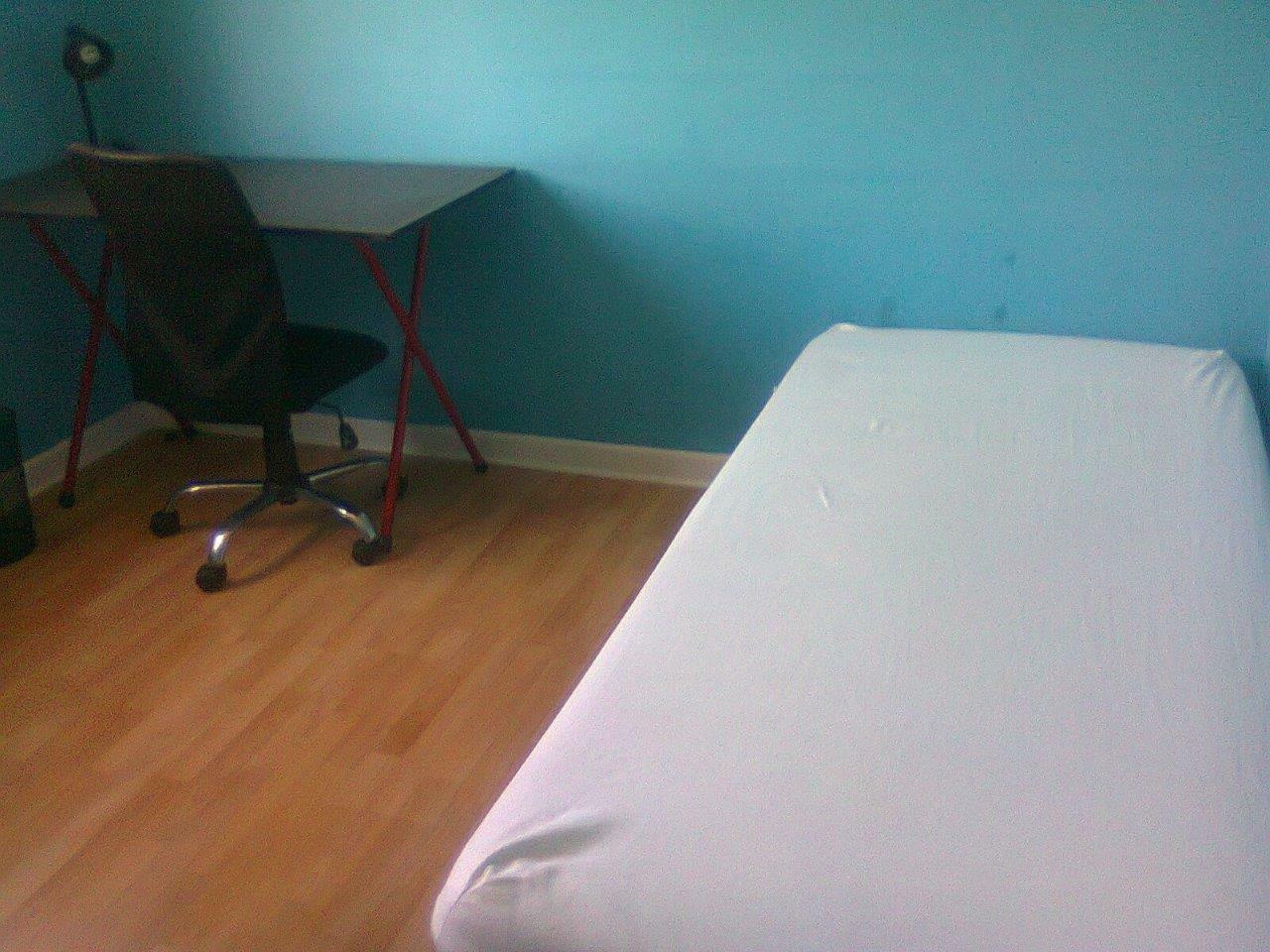 Colocación Saint-Martin-d'Hères 285348