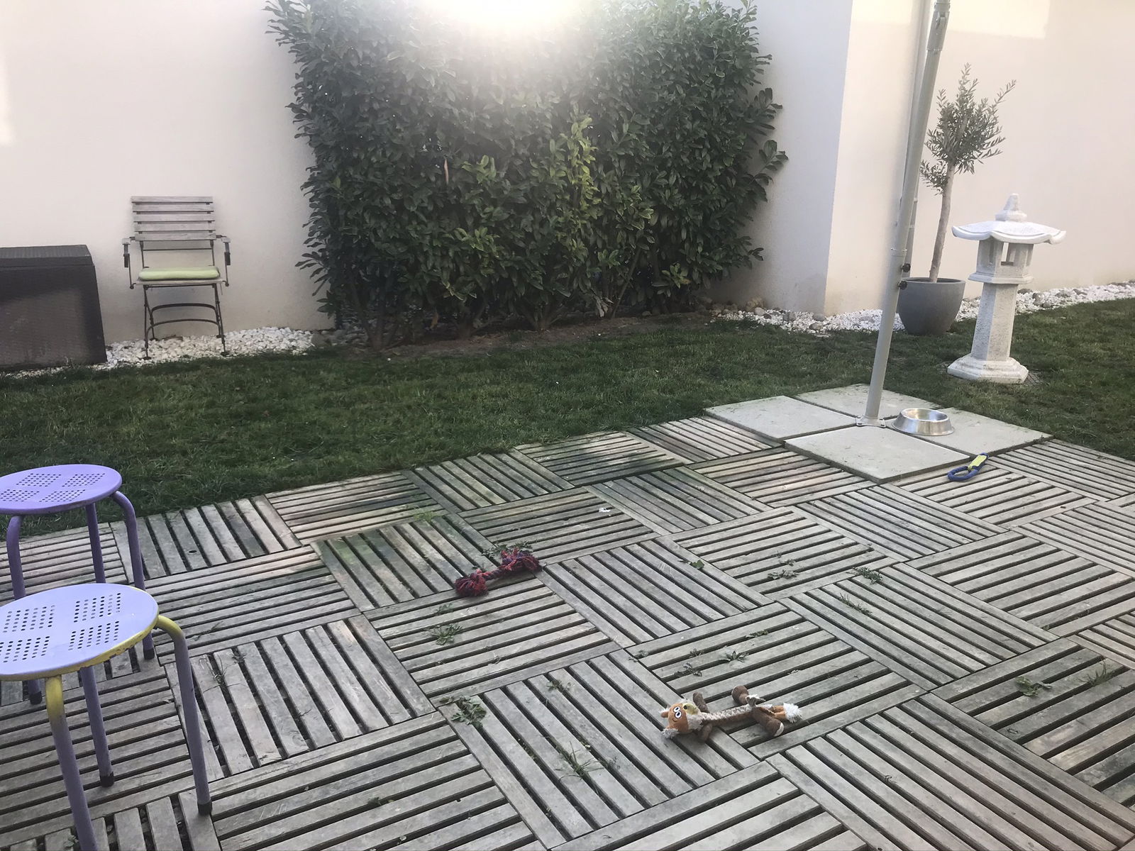 Colocación Noville 237435