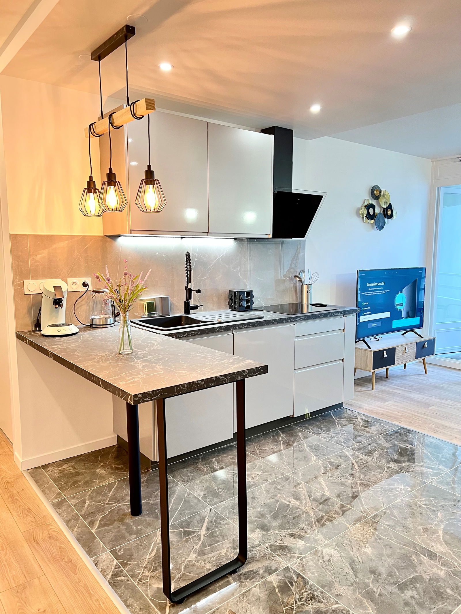 Colocación Villeurbanne 265084