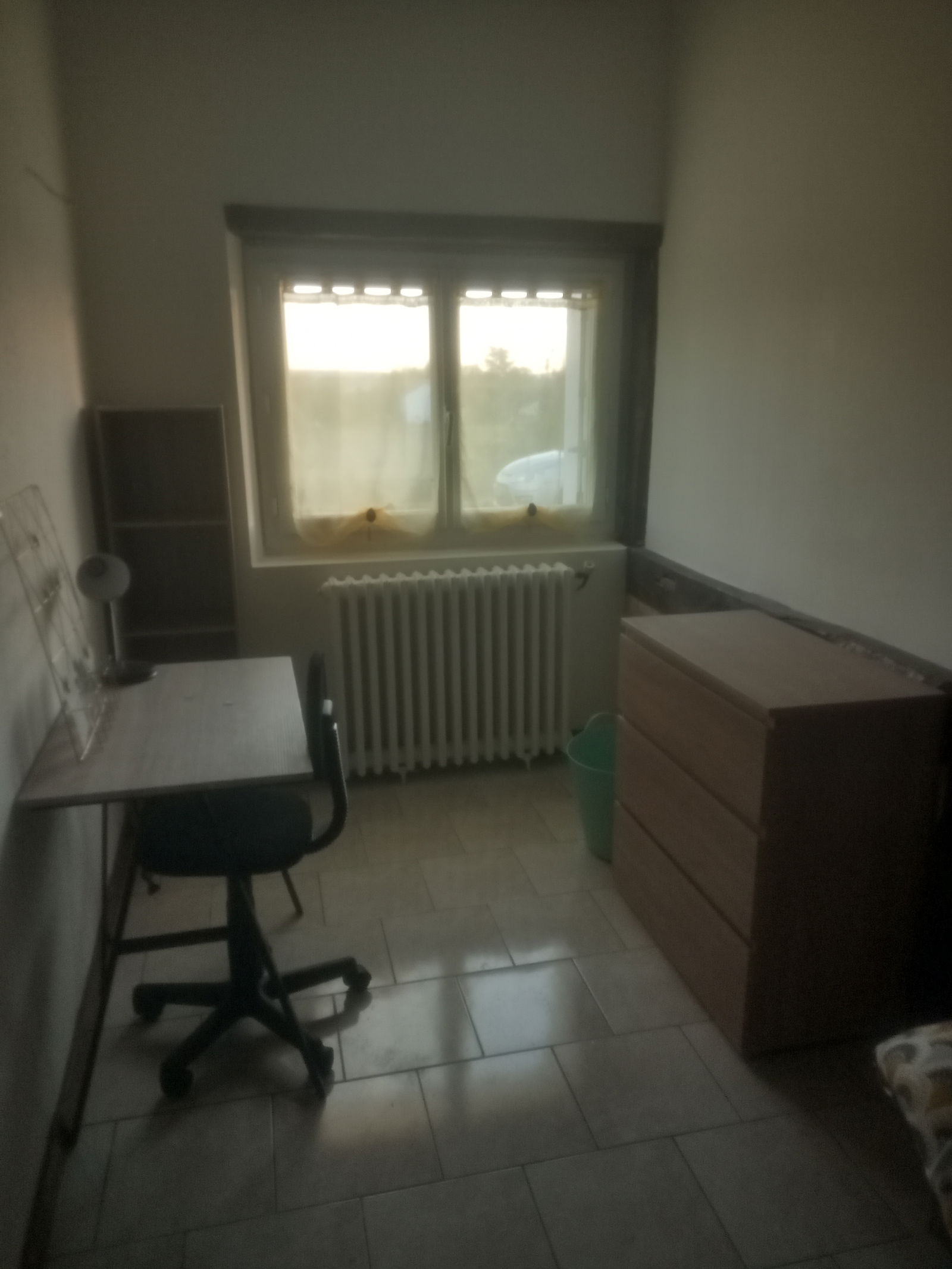 Colocación Saumur 258081