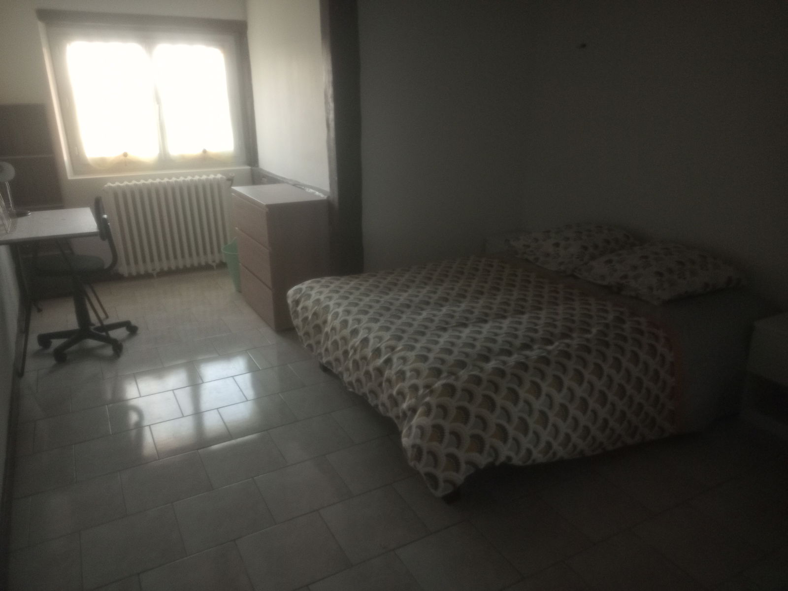 Colocación Saumur 258081