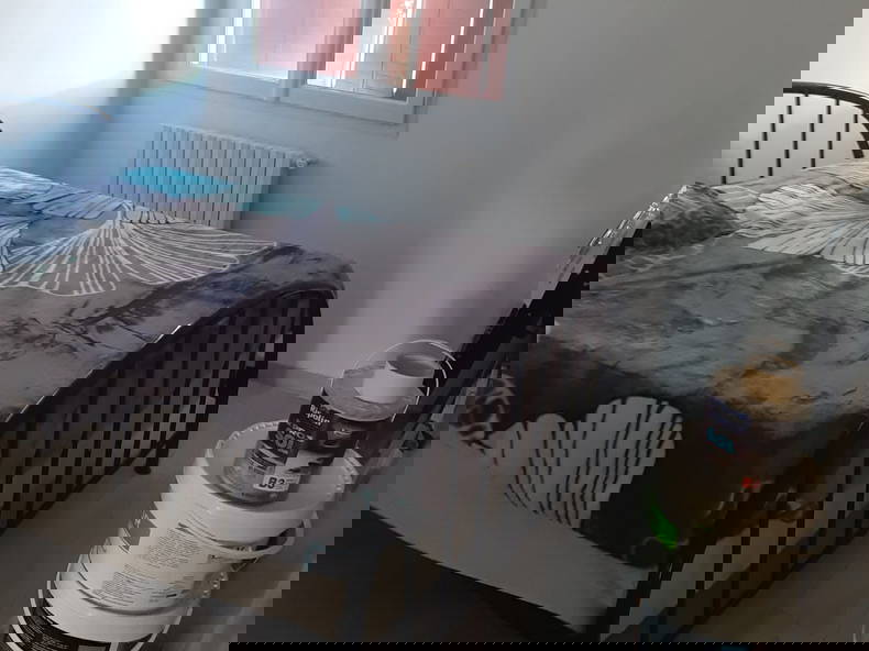 Gastfamilie Avignon 429030-4