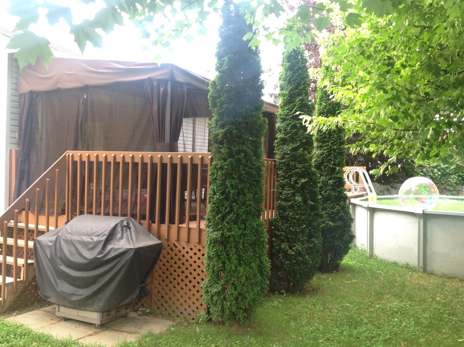 Colocation Lavaltrie 110429