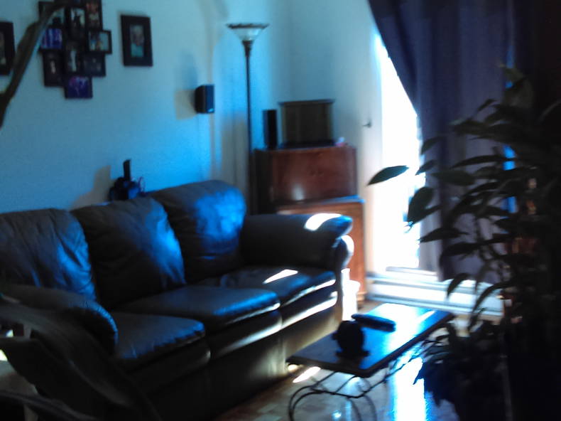 Colocation Montréal 126557-1