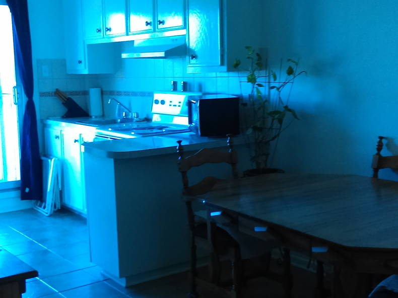 Colocation Montréal 126557-2