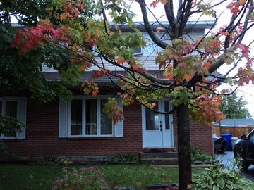 Colocation Gatineau 32641-1