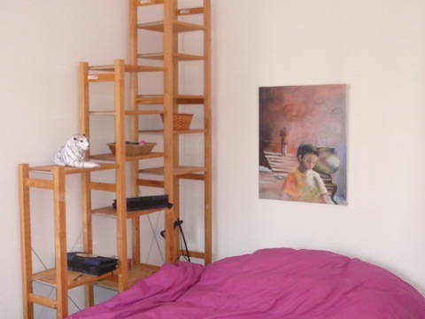 Colocation Villeurbanne 36114-4