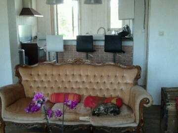 Colocation Toulouse 53726-3