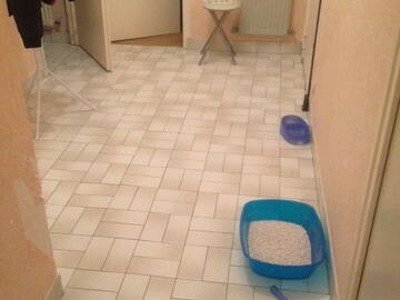 Colocation Blois 61597-1