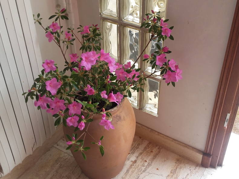 Chambre Chez L'habitant Bazainville 109491-1