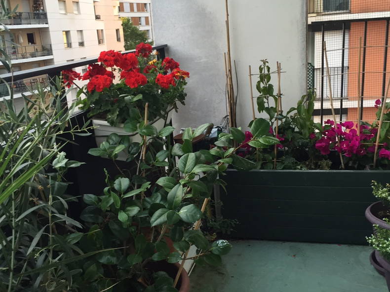 Zakwaterowanie U Rodziny Paris 92278-3