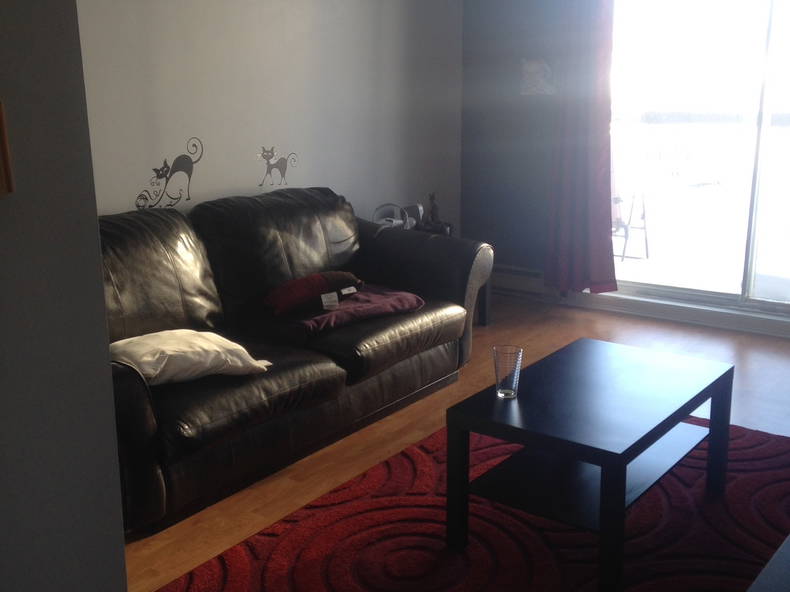 Colocation Saguenay 96419-1