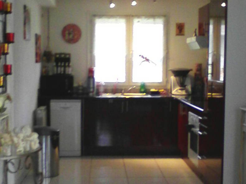 Colocation Roques 123685-4