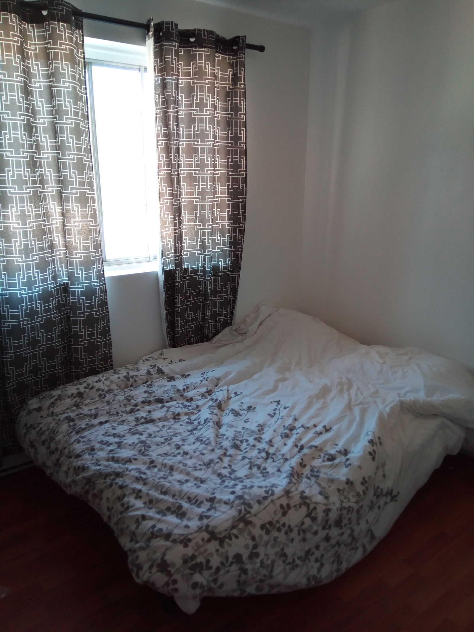 Colocation Montréal 162140