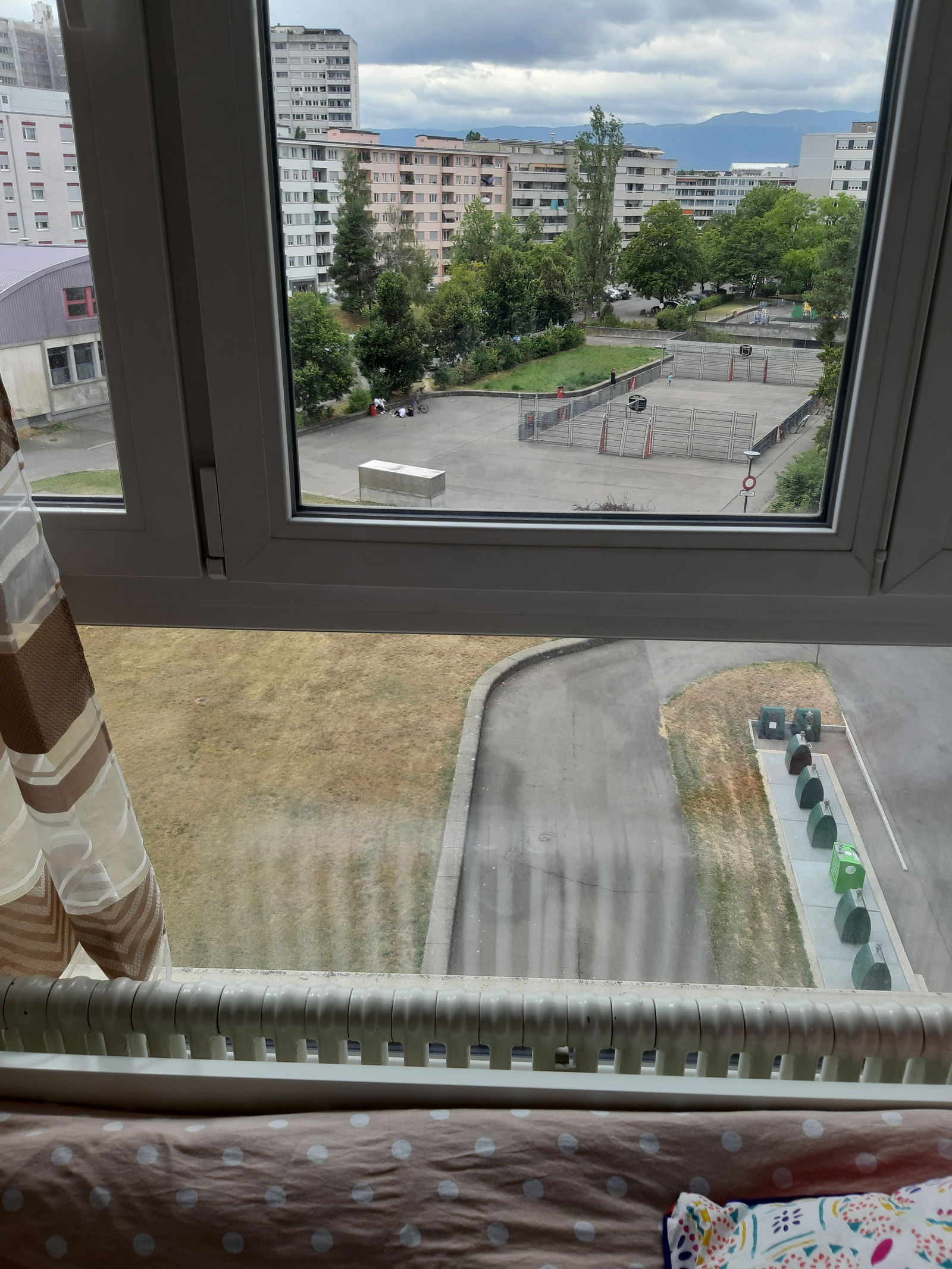 Kolokation Plan-les-Ouates 239537
