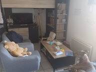 Homestay Amiens 265091-1