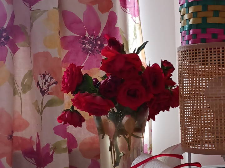 Homestay Charleroi 319138-3