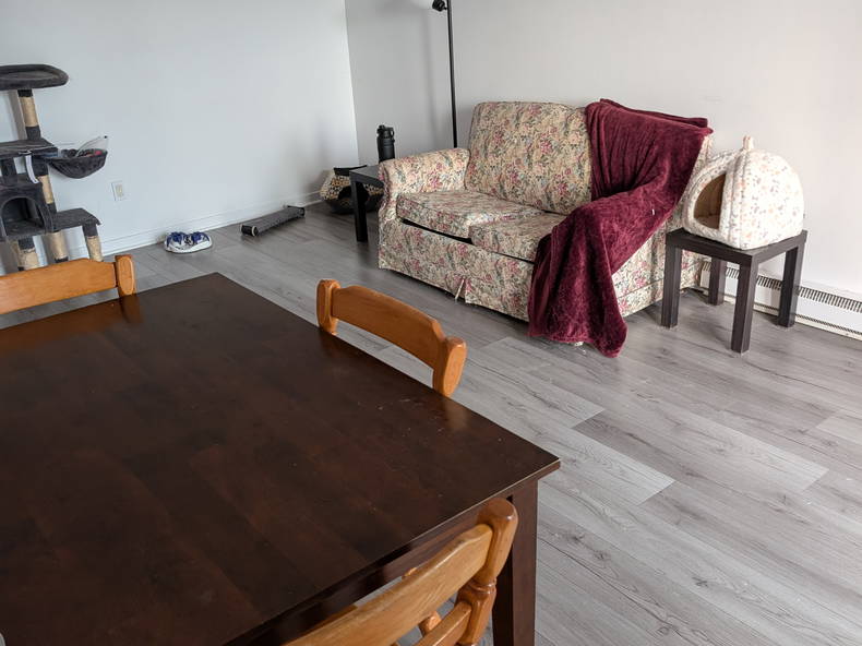 Colocation Lévis 593116-3