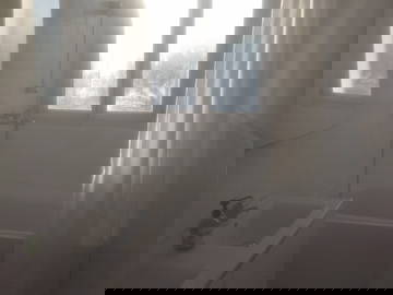 Colocation Toulouse 663882-6