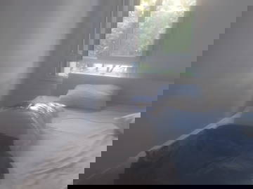 Colocation Toulouse 663882-7