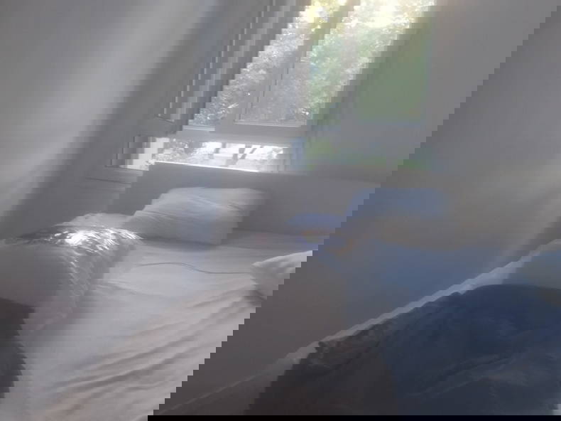 Colocation Toulouse 663882-3