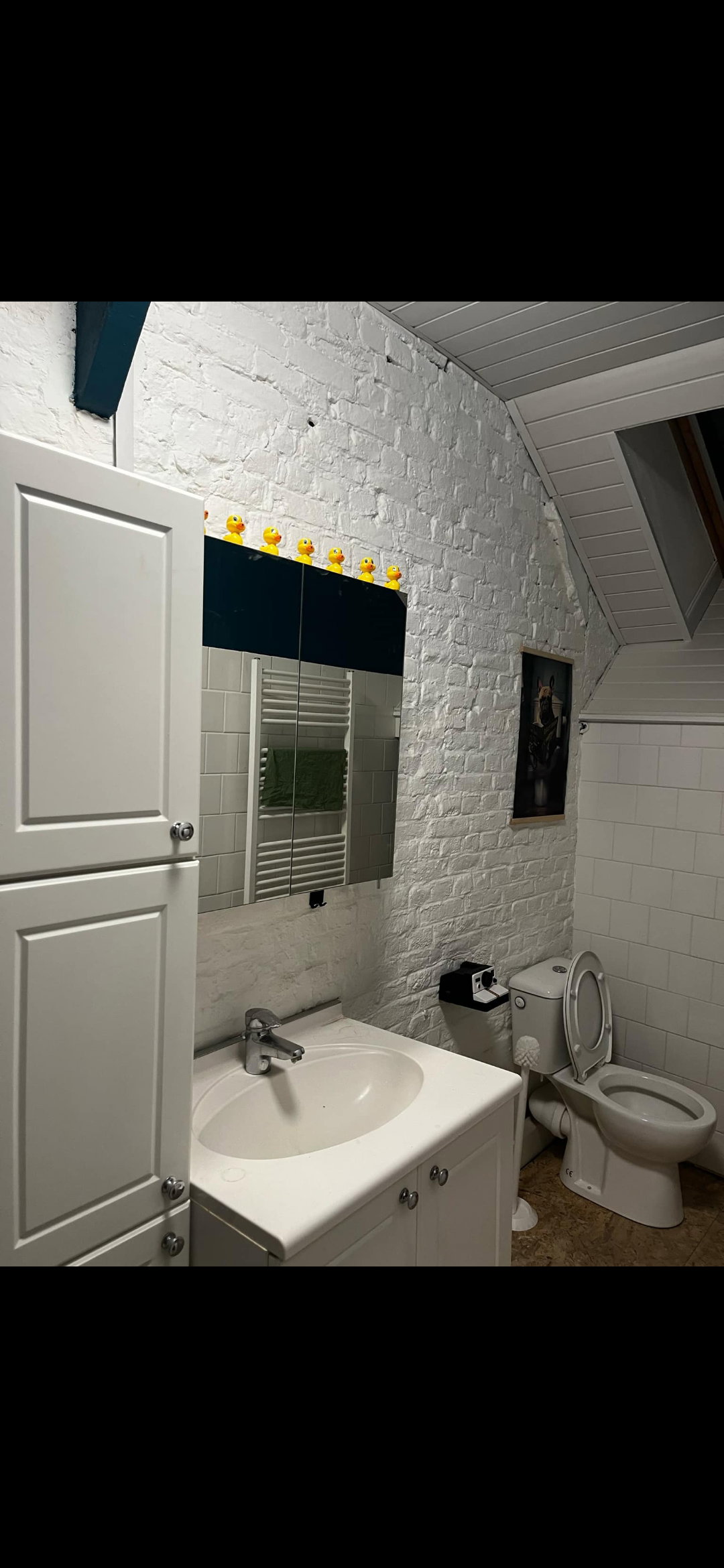 Colocation Charleroi 673976