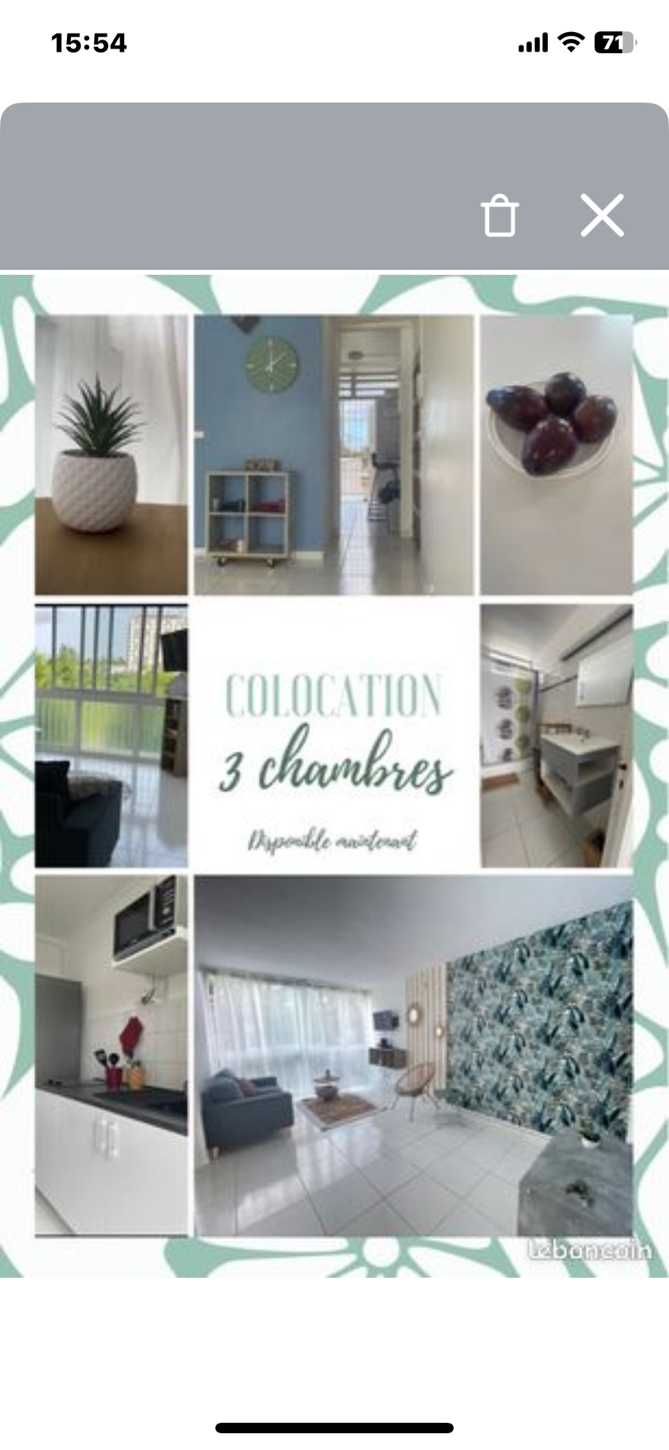 Colocation Les Abymes 259507