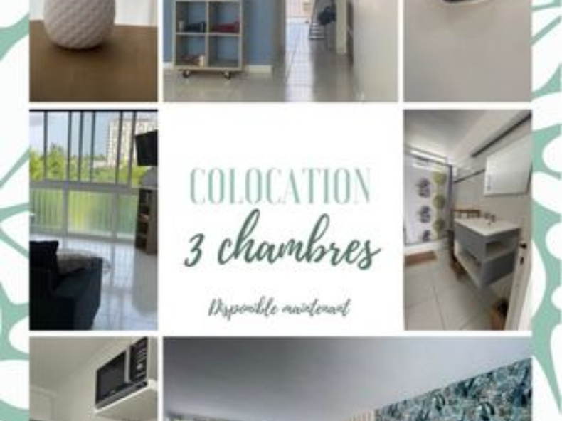 Colocación Les Abymes 259507-1