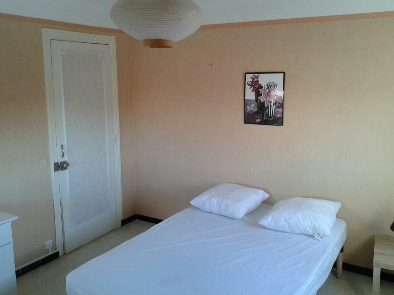 Colocation Perpignan 205488