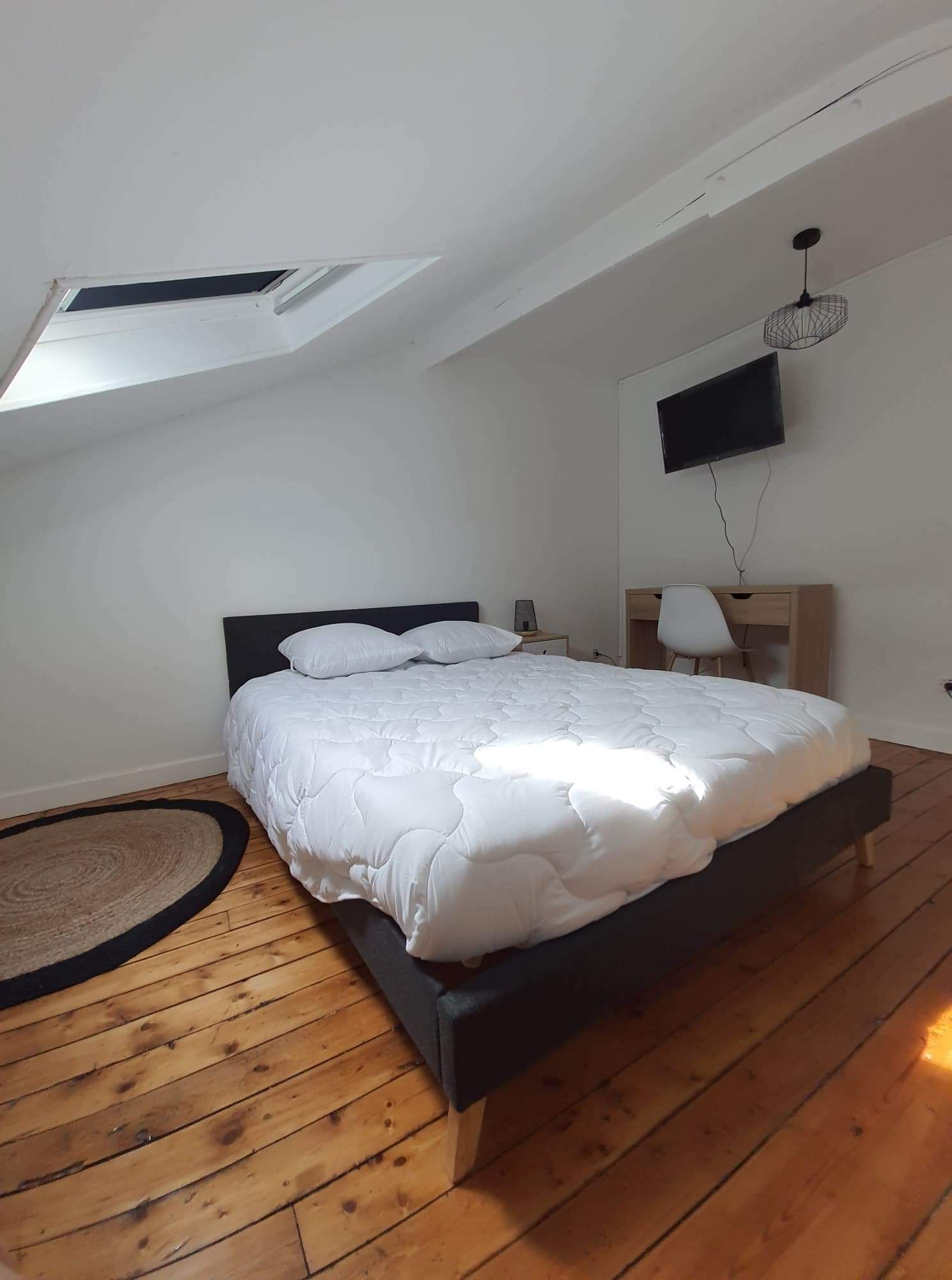 Colocation Vichy 248281