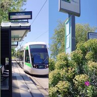 Colocation Nantes 664202