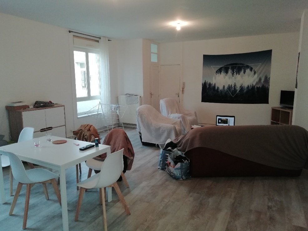Kolokasie Saumur 225336
