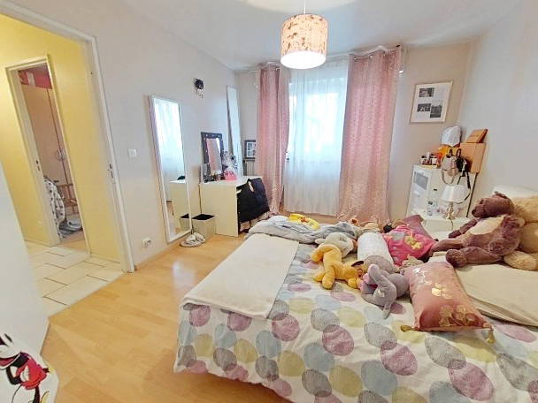 Kolokasie Strasbourg 247959-4