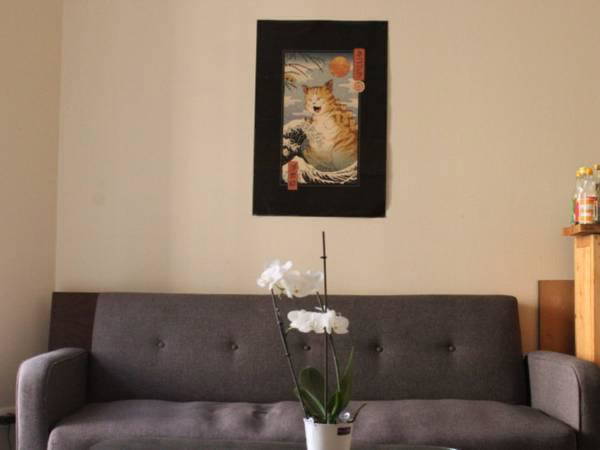 Colocation Lyon 666795-3