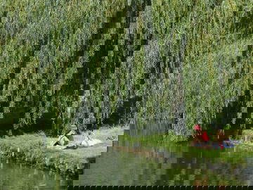 Colocation Créteil 403062-22