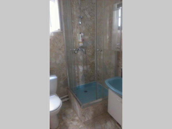 Kolokasie Paris 106051-4