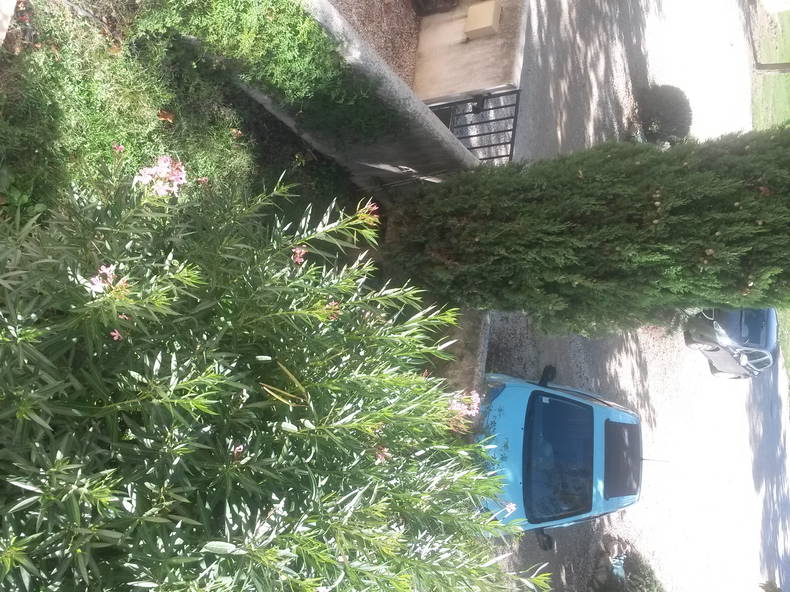 Colocation Graveson 114394-3