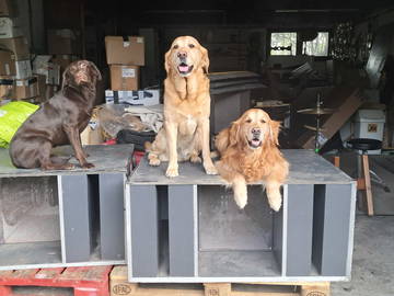 Colocation Ormesson-Sur-Marne 245361-10