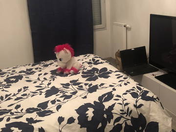 Chambre À Louer Toulouse 246693